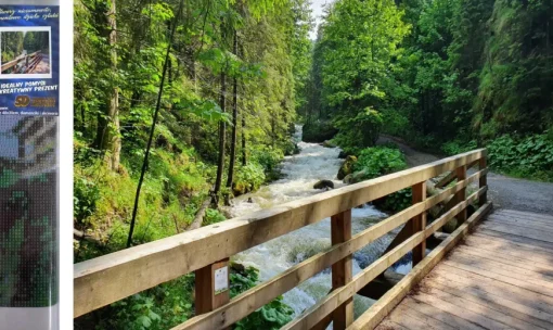 Puzzle Diamond Painting Wooden bridge in the forest 30x40cm