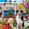Puzzle Dog's Country Resort