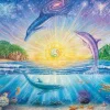 Puzzle Dolphins