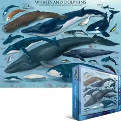 Puzzle Dolphins and Whales