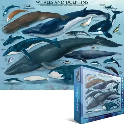 Puzzle Dolphins and Whales