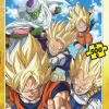 Puzzle Dragon Ball Super