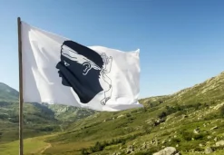 Puzzle Drapeau de la Corse