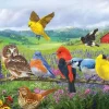 Puzzle Eastern Birds 500 panorama