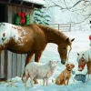 Puzzle Family Puzzle: Winter Barnyard