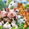 Puzzle Farm Friends 60