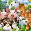Puzzle Farm Friends 40 maxi