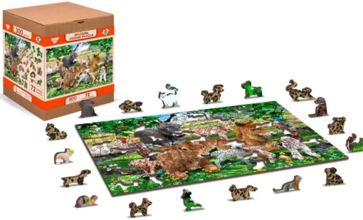 Puzzle Farm Kindergarten 300