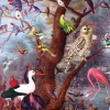 Puzzle Fascinating Birds