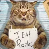 Puzzle Feline Felon