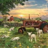 Puzzle Field at Sunrise