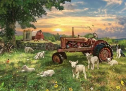Puzzle Field at Sunrise
