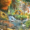 Puzzle Fishing Companions 500 XXL
