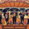 Puzzle Flamenco Meow Team