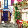 Puzzle Flower Courtyard 260