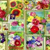 Puzzle Flower Pictures 1500