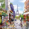 Puzzle Flowering Paris