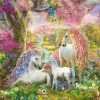 Puzzle Flowers and Unicorns