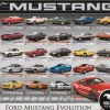 Puzzle Ford Mustang Evolution 2