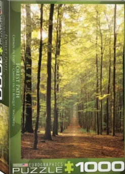 Puzzle Forest Path II