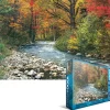 Puzzle Forest Stream