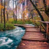 Puzzle Forest Stream in Plitvice, Croatia
