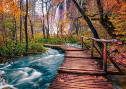 Puzzle Forest Stream in Plitvice, Croatia