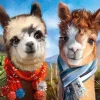 Puzzle Friends Forever 1000