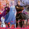 Puzzle Frozen, Land of ice