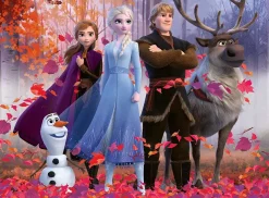 Puzzle Frozen, Land of ice