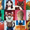Puzzle Funny Cats