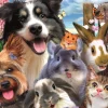 Puzzle Funny Selfie