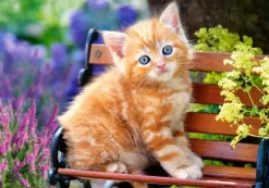 Puzzle Ginger Kitten 2