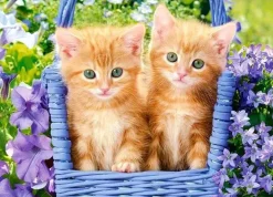 Puzzle Ginger Kittens 60