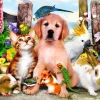 Puzzle Good Companions 204