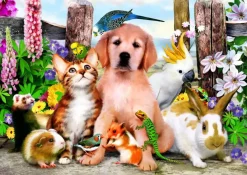 Puzzle Good Companions 204