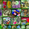 Puzzle Green Collection 1000