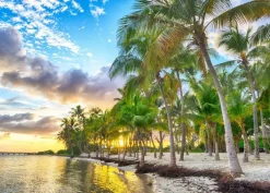 Puzzle Guadeloupe - Anse Champagne