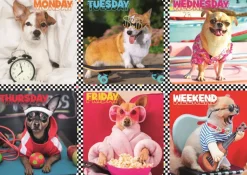 Puzzle Happy dogs 200 pieces