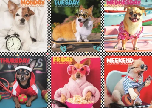 Puzzle Happy dogs 200 pieces