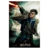 Puzzle Harry Potter 300 3D