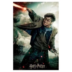 Puzzle Harry Potter 300 3D