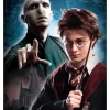 Puzzle Harry Potter II 500