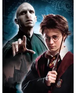 Puzzle Harry Potter II 500
