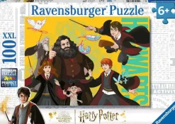Puzzle Harry Potter: The Young Wizard