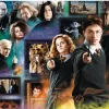Puzzle Harry Potter: Wizarding World