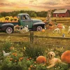 Puzzle Harvest Time