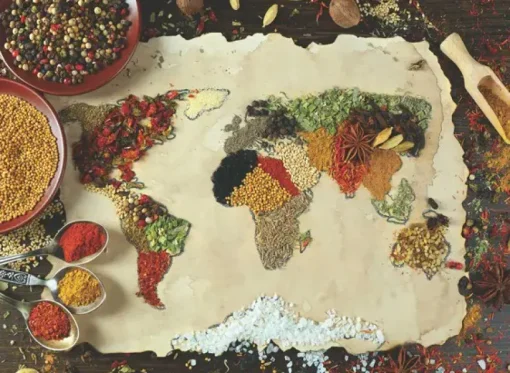 Puzzle Herbal world map
