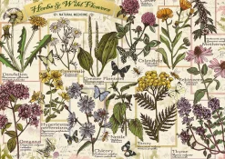 Puzzle Herbarium: Medicinal herbs