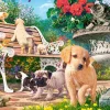 Puzzle Hide and seek 500